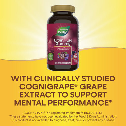 Nature's Way® | Brain Fuel Sku:14472
