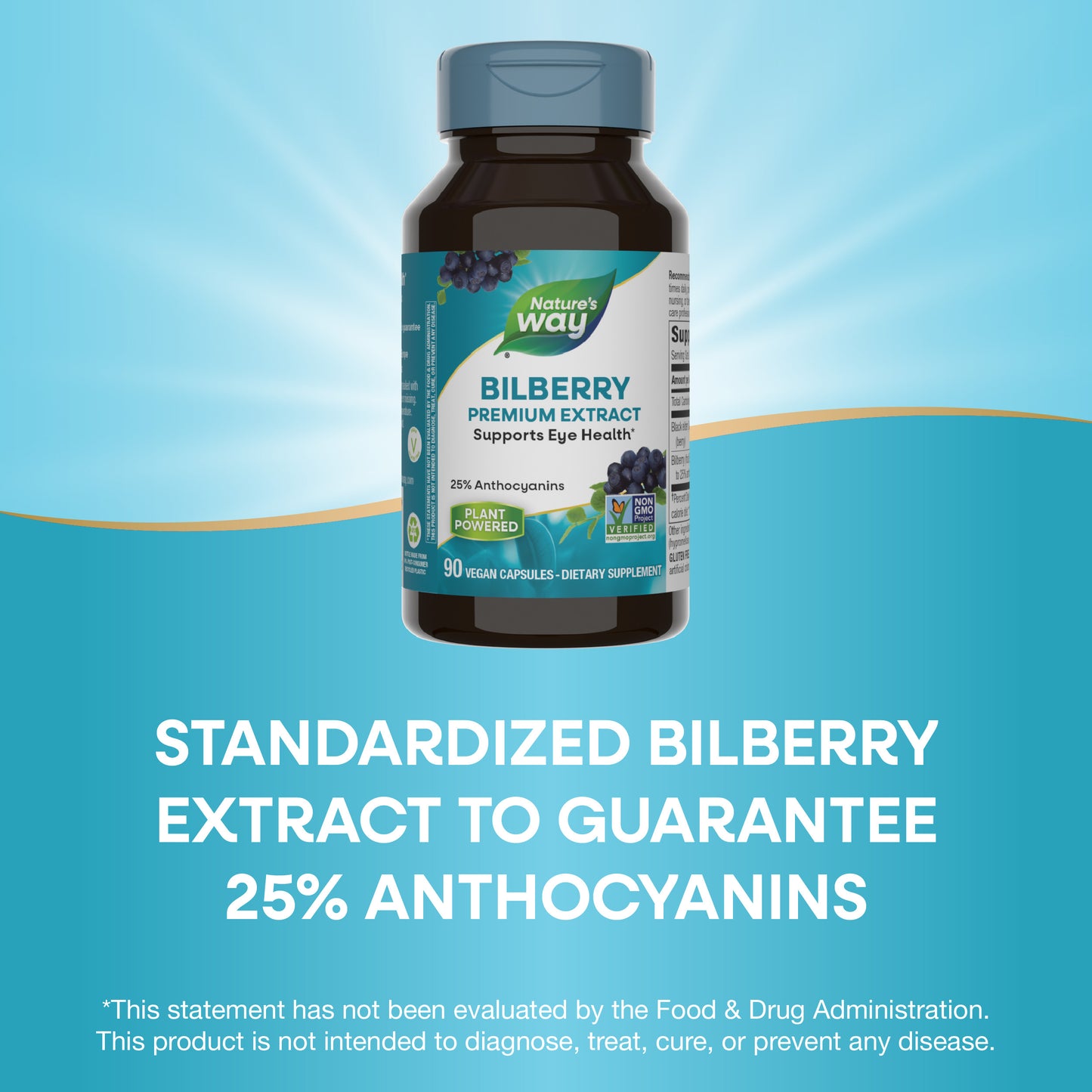 <{%MAIN12_60510%}>Nature's Way® | Bilberry