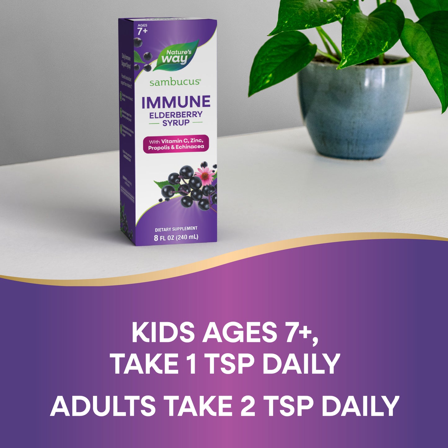 <{%DETAIL2_15333%}>Nature's Way® | Sambucus Immune Elderberry Syrup