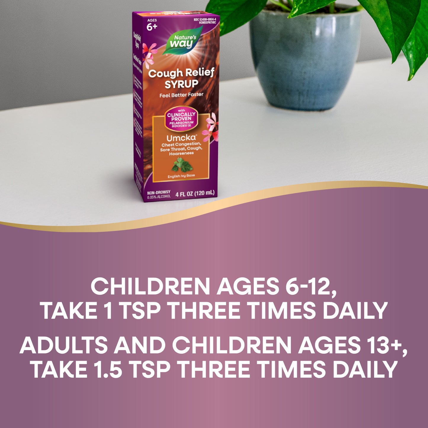 <{%DETAIL2_15864%}>Nature's Way® | Umcka Cough Relief Syrup - product recommendations