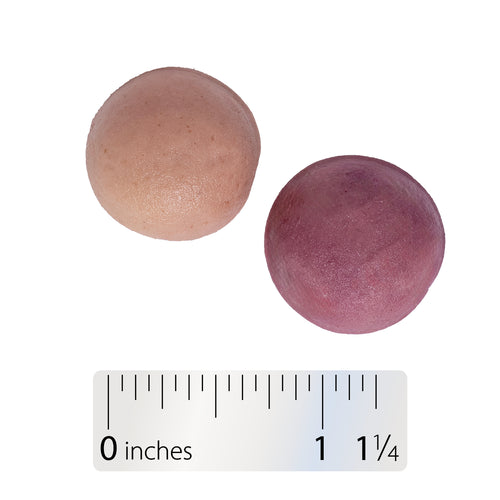 Nature's Way® | Alive! Calcium & Vitamin D3 Gummies - Gummy and ruler Sku:10255