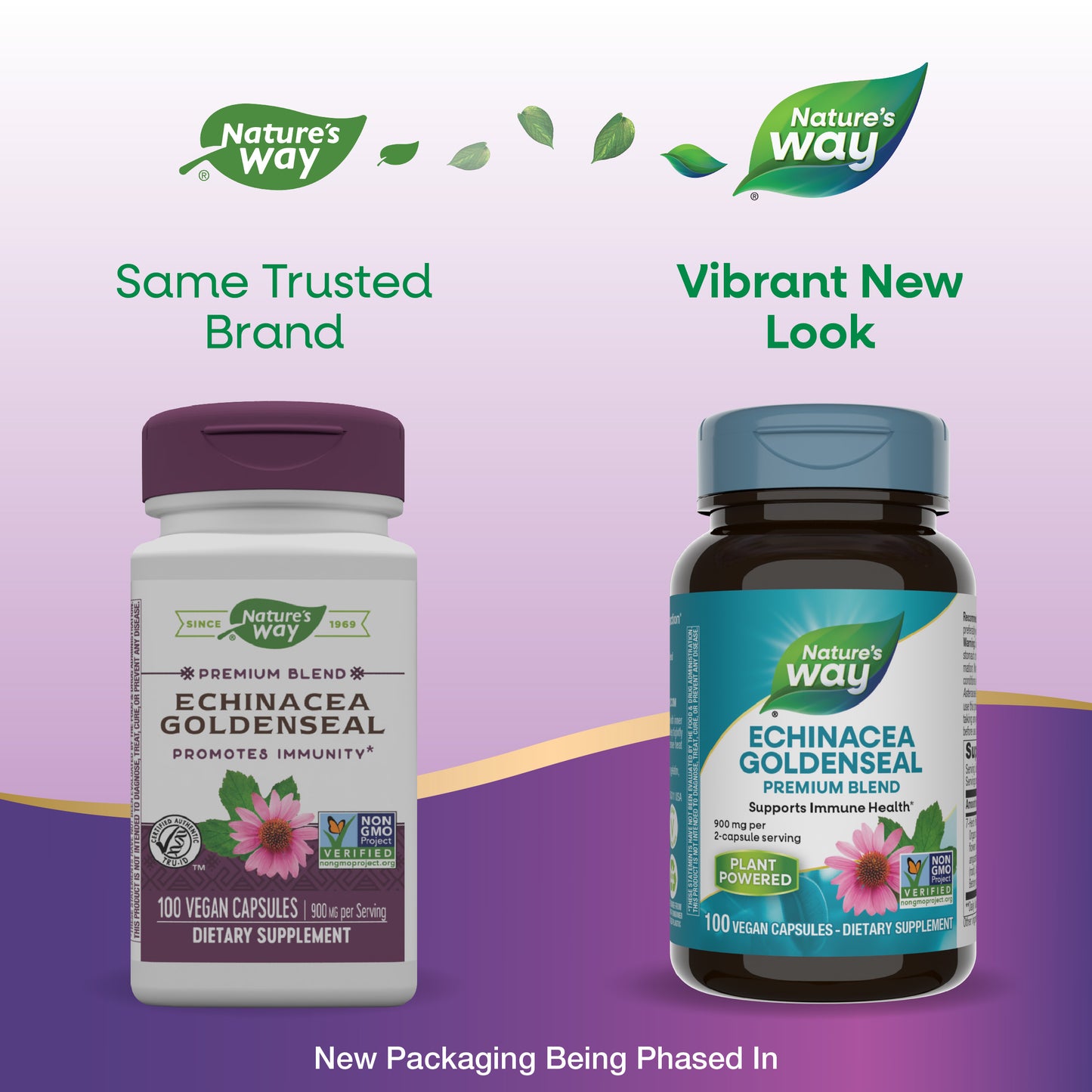 <{%MAIN8_415%}>Nature's Way® | Echinacea Goldenseal Premium Blend