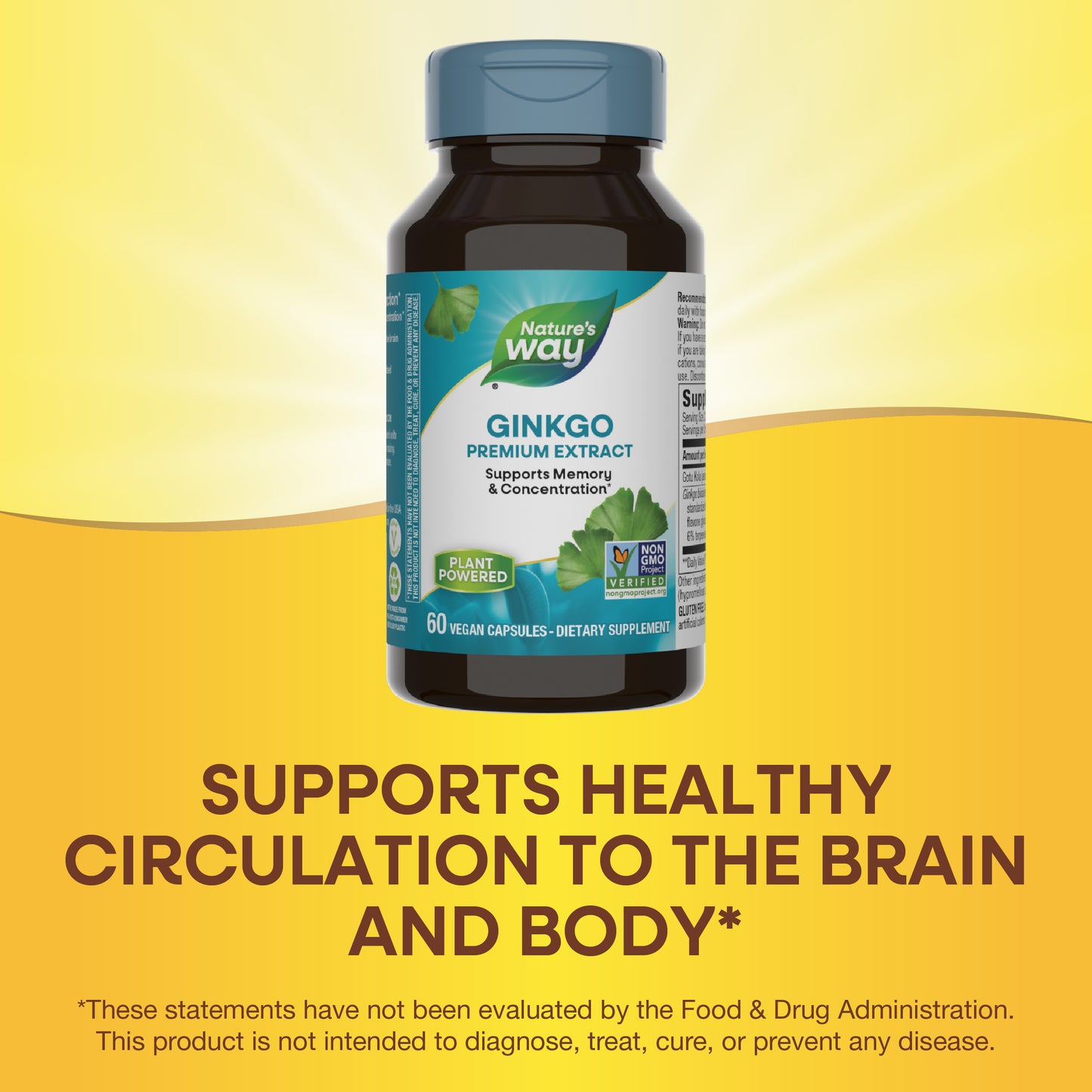 <{%MAIN12_61600%}>Nature's Way® | Ginkgo Premium Extract