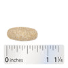 Nature's Way® | Alive! Men's Complete Multivitamin - Tablet and ruler Sku:13716