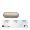 Nature's Way® | Fortify 30 Billion Daily Probiotic - Capsule and ruler Sku:10294