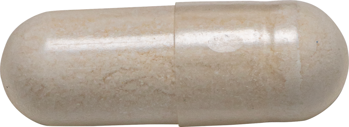 Nature's Way® | Fortify Optima Adult 50+ 50 Billion Probiotic - Capsule and ruler Sku:10762