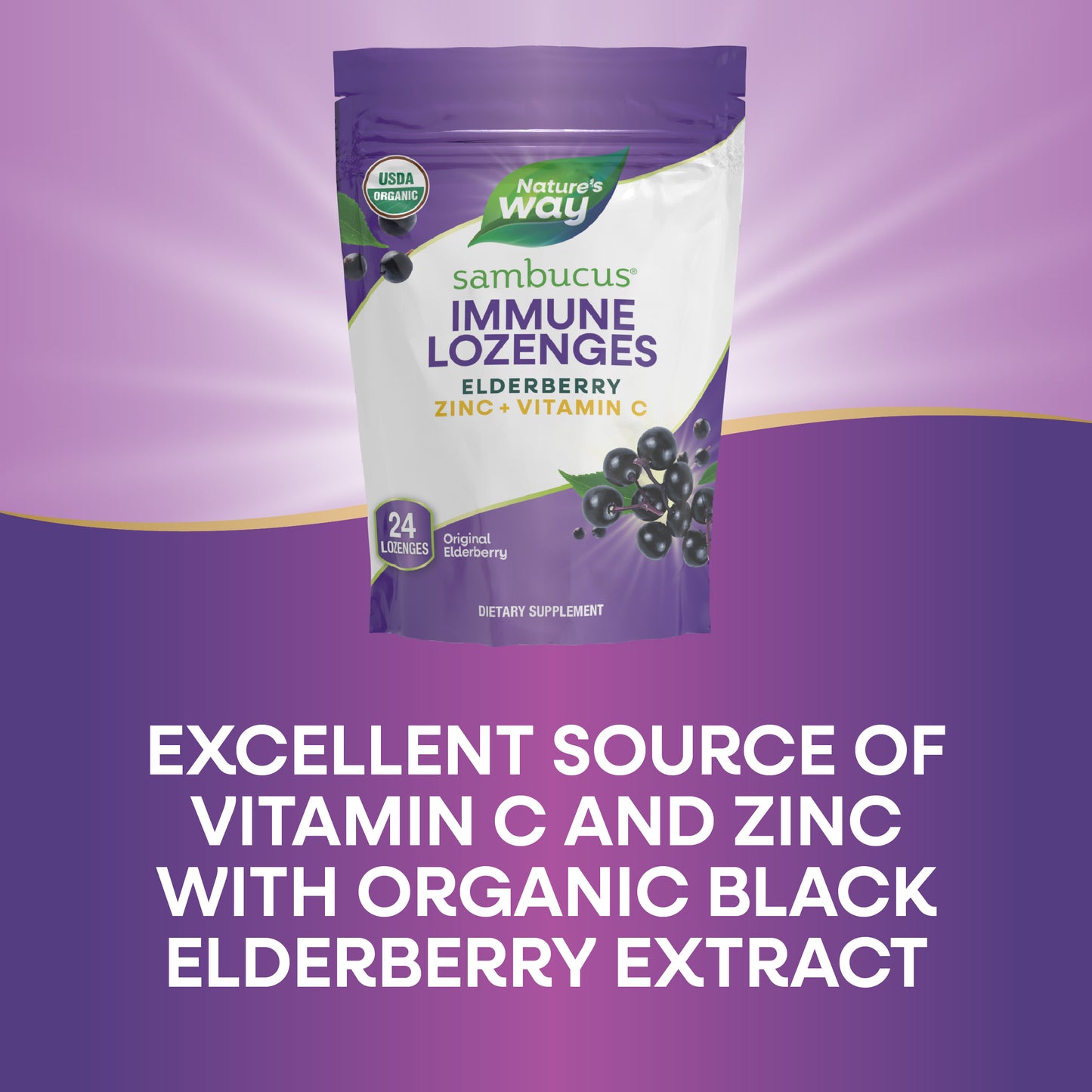 <{%MAIN19_10220%}>Nature's Way® | Sambucus Immune Lozenges