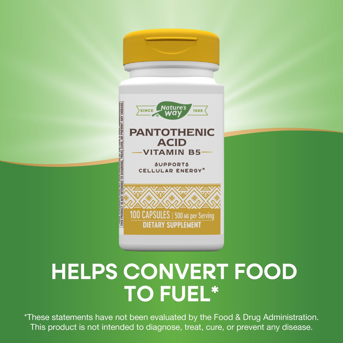 <{%MAIN5_40491%}>Nature's Way® | Pantothenic Acid Vitamin B5
