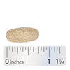 Nature's Way® | Alive! Men's 50+ Complete Multivitamin - Tablet and ruler Sku:14283