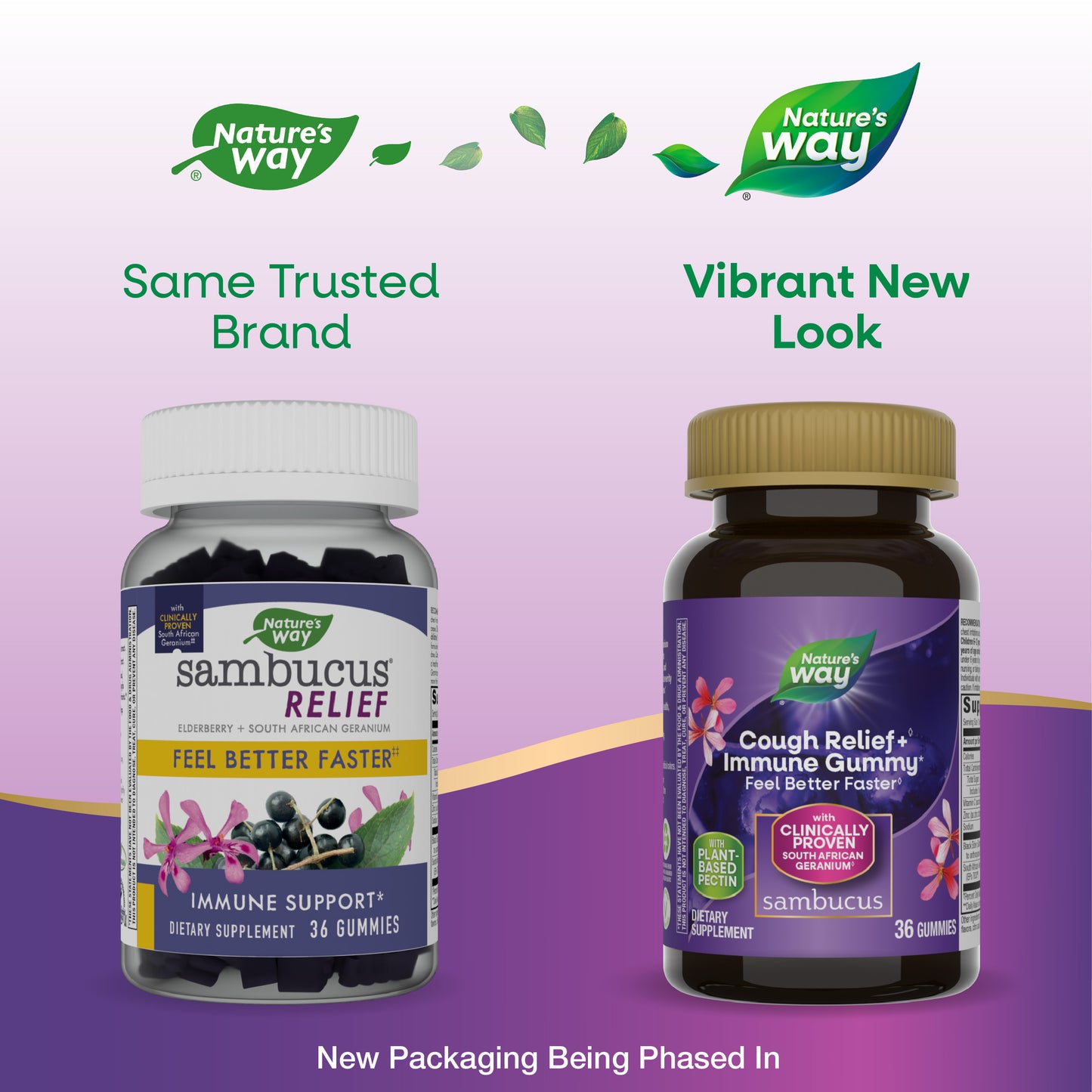 <{%MAIN1_13610%}>Nature's Way® | Sambucus Cough Relief + Immune Gummy