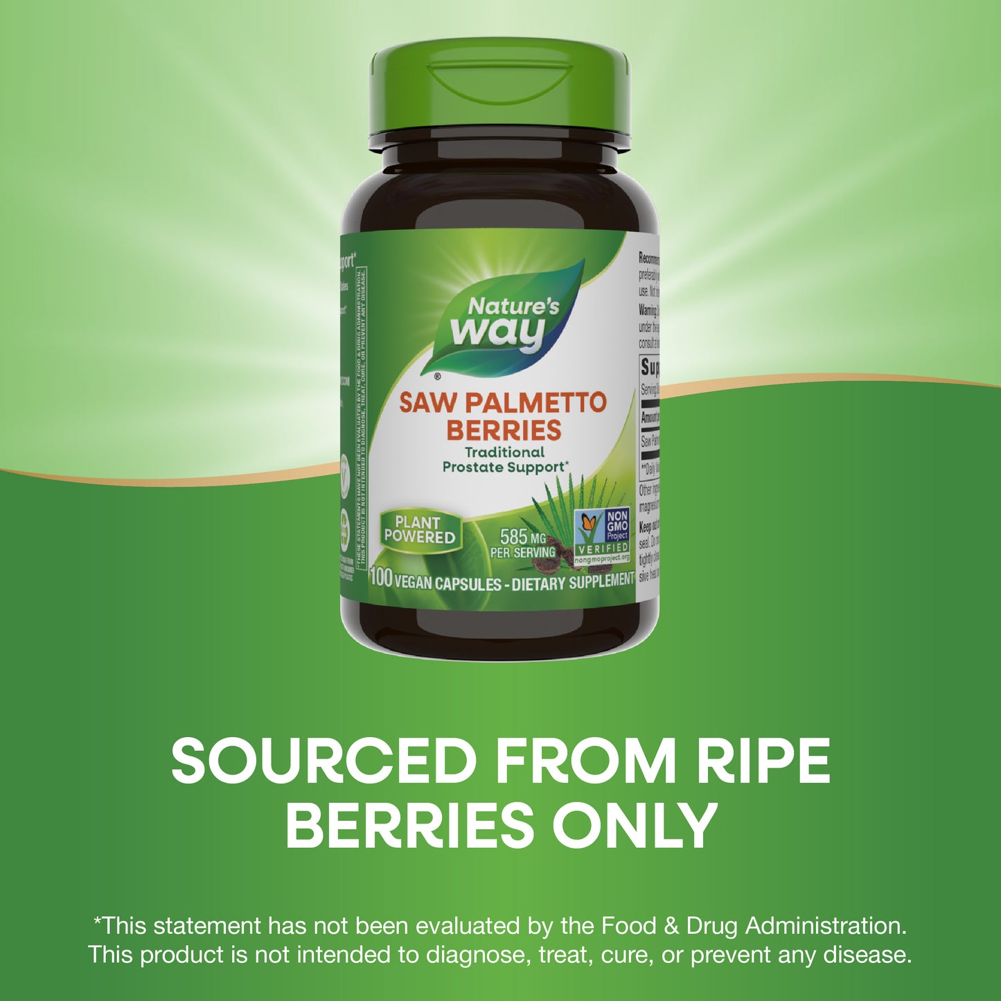 <{%MAIN12_16750%}>Nature's Way® | Saw Palmetto Berries