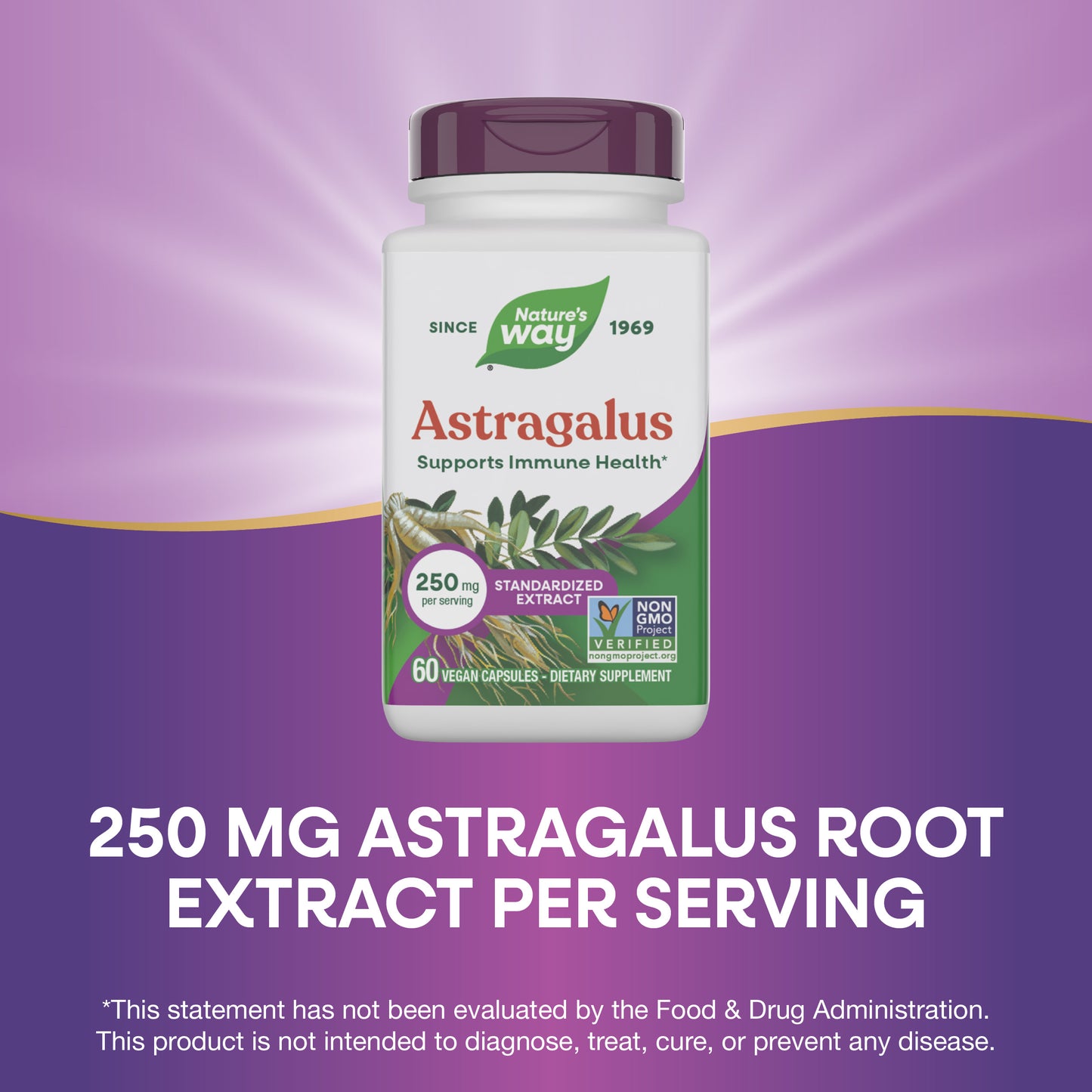 <{%MAIN6_15383%}>Nature's Way® | Astragalus Premium Extract