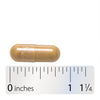 Nature's Way® | Artichoke Premium Extract - Capsule and ruler Sku:64600