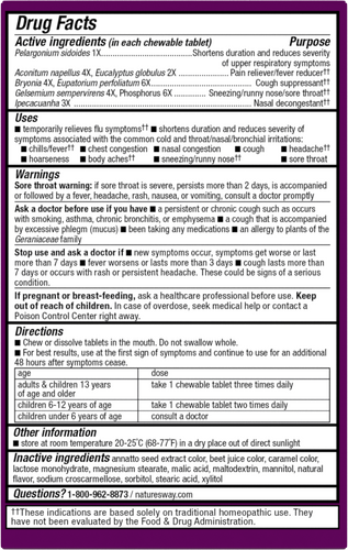 Nature's Way® | Cold+Flu Relief Chewables - back of pack Sku:15159