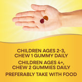 <{%DETAIL2_15000%}>Nature's Way® | Alive! Zero Sugar Gummy Multivitamin for Kids