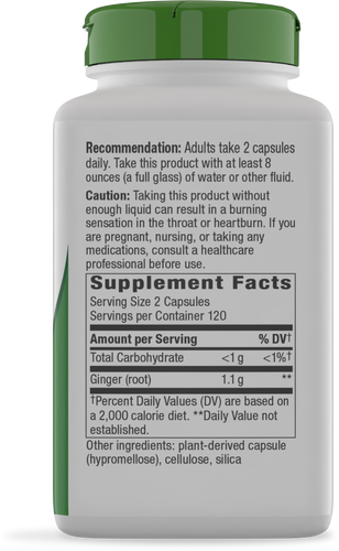 Nature's Way® | Ginger Root - right side of pack Sku:11926