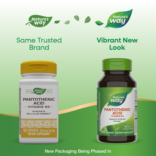 Nature's Way® | Pantothenic Acid Vitamin B5 - package updates old to new Sku:40491