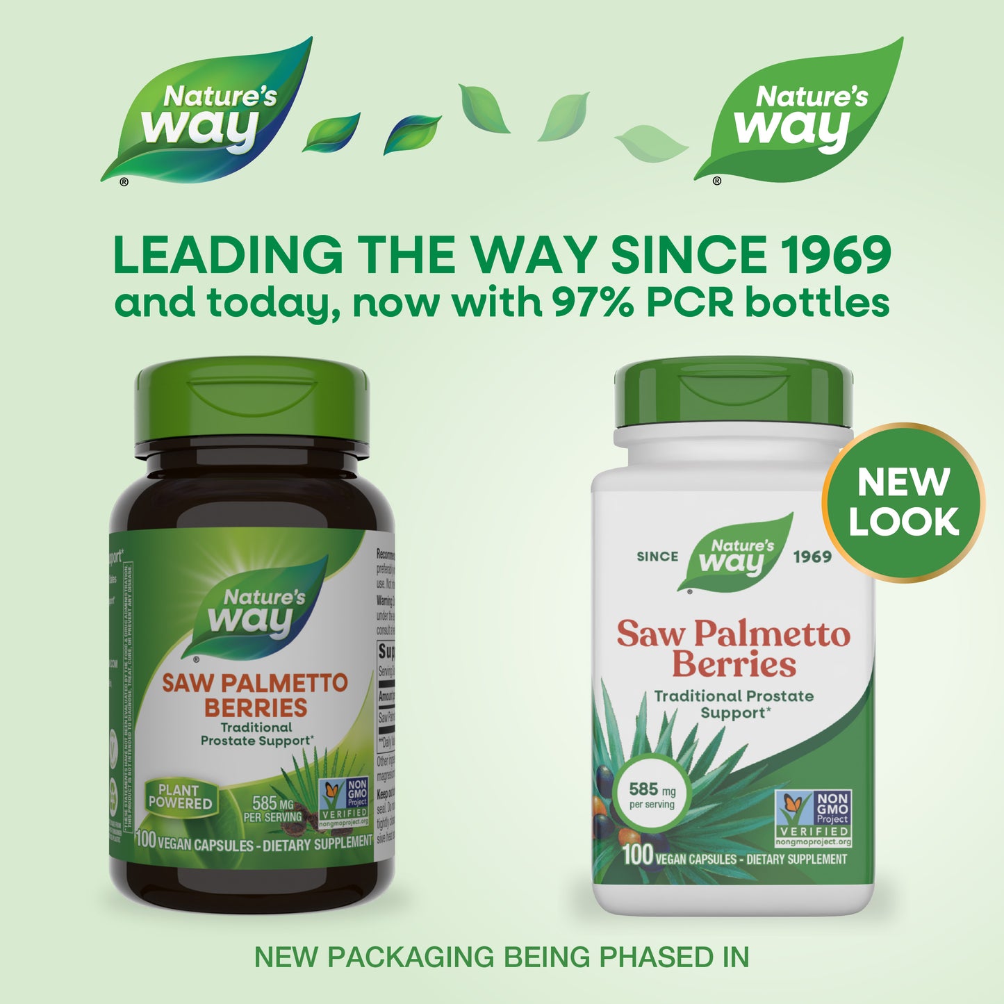 <{%MAIN8_16750%}>Nature's Way® | Saw Palmetto Berries