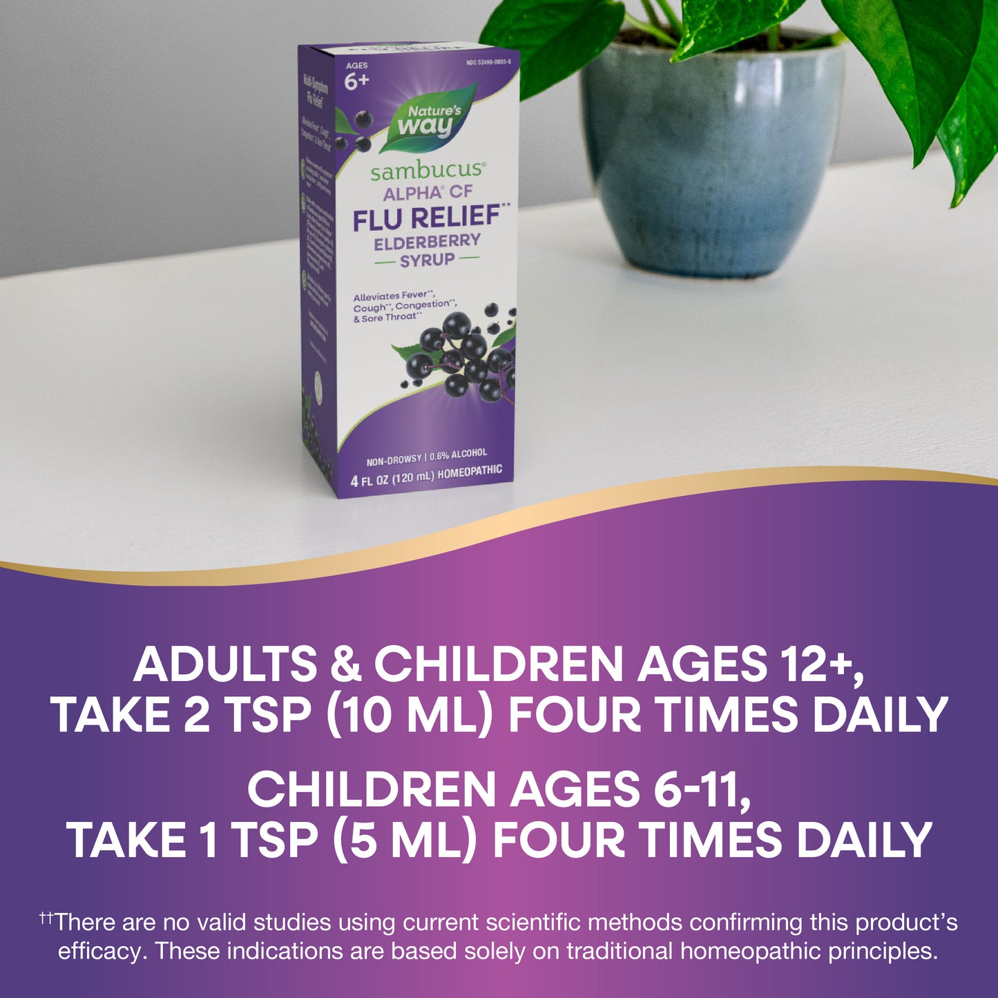 <{%DETAIL2_15803%}>Nature's Way® | Sambucus Flu Relief Elderberry Syrup - product recommendations