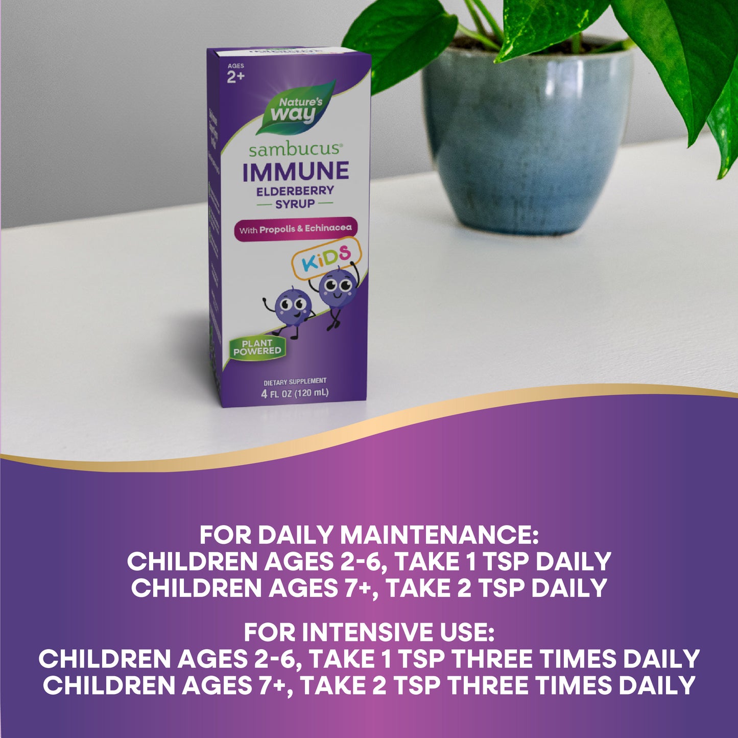 <{%DETAIL2_6973%}>Nature's Way® | Sambucus Immune Syrup for Kids* - product recommendations