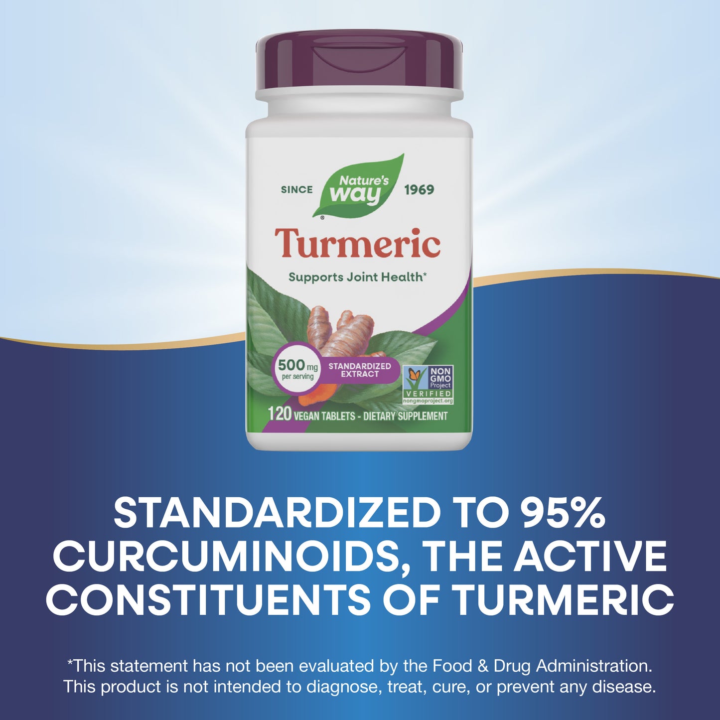 <{%MAIN6_15356%}>Nature's Way® | Turmeric Premium Extract