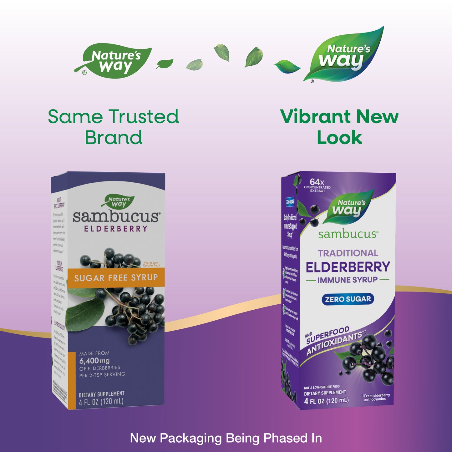 <{%MAIN1_6971%}>Nature's Way® | Sambucus Zero Sugar Traditional Elderberry Immune Syrup