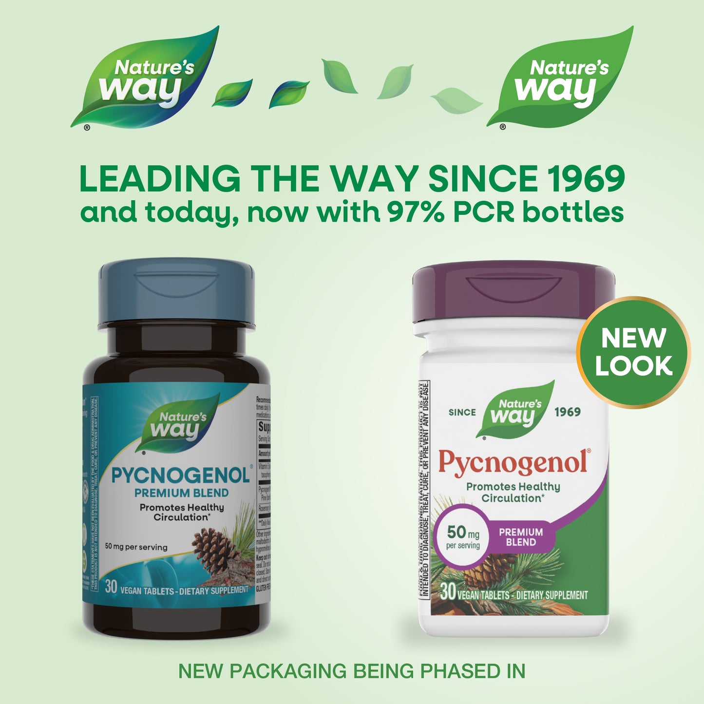 <{%MAIN1_45151%}>Nature's Way® | Pycnogenol Premium Blend