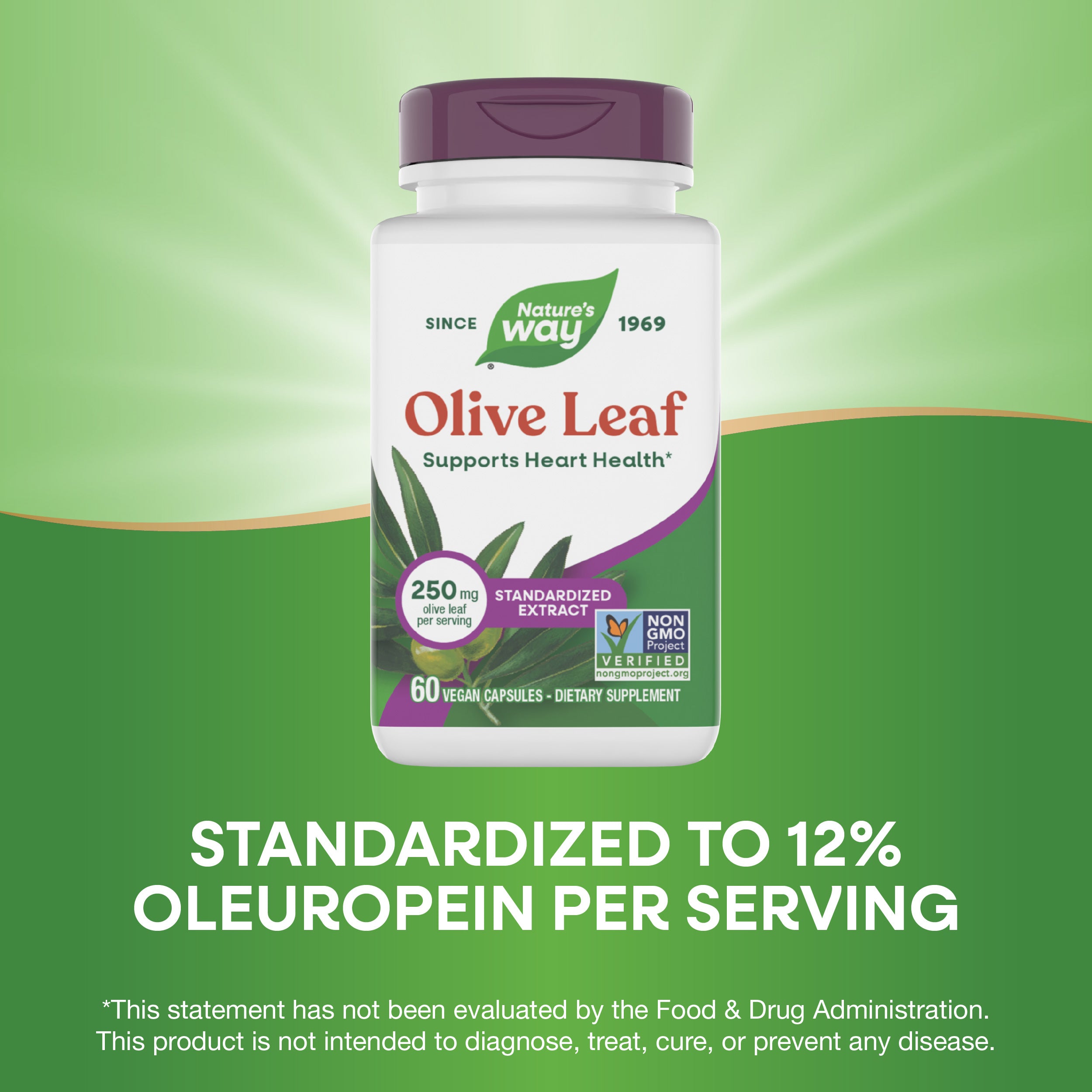 Olive Leafさんへ Olive Leaf Extract – Zazzee Naturals