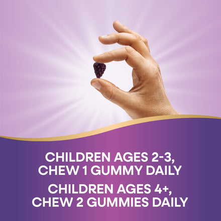 Sambucus Elderberry Zero Sugar Immune Gummies for Kids Supplement Facts