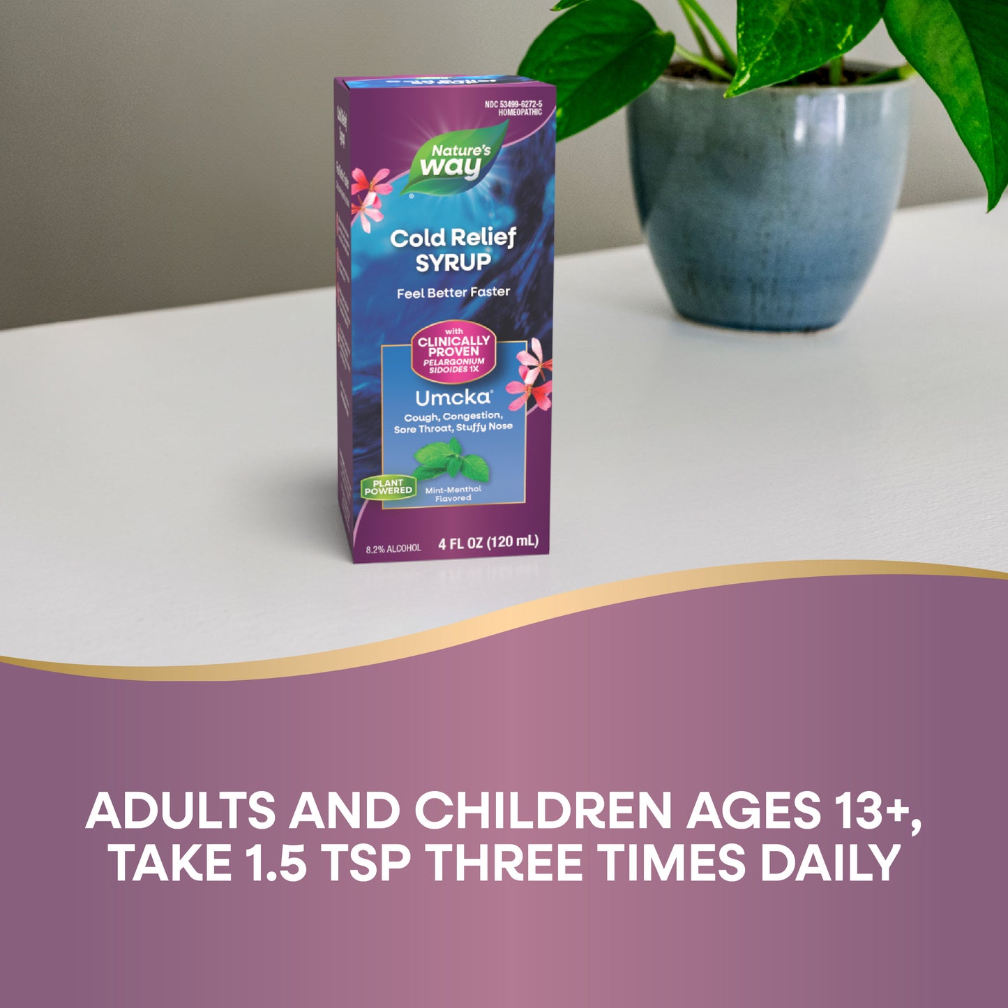 <{%DETAIL2_15272%}>Nature's Way® | Umcka Cold Relief Syrup