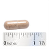 Nature's Way® | Maca Standardized Extract - Capsule and ruler Sku:64200