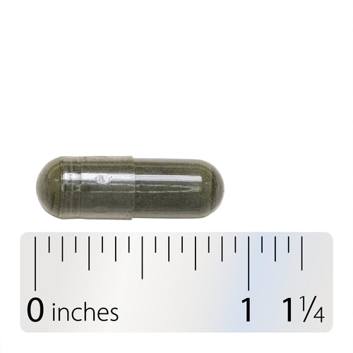 Nature's Way® | Nettle Leaf - Capsule and ruler Sku:15150