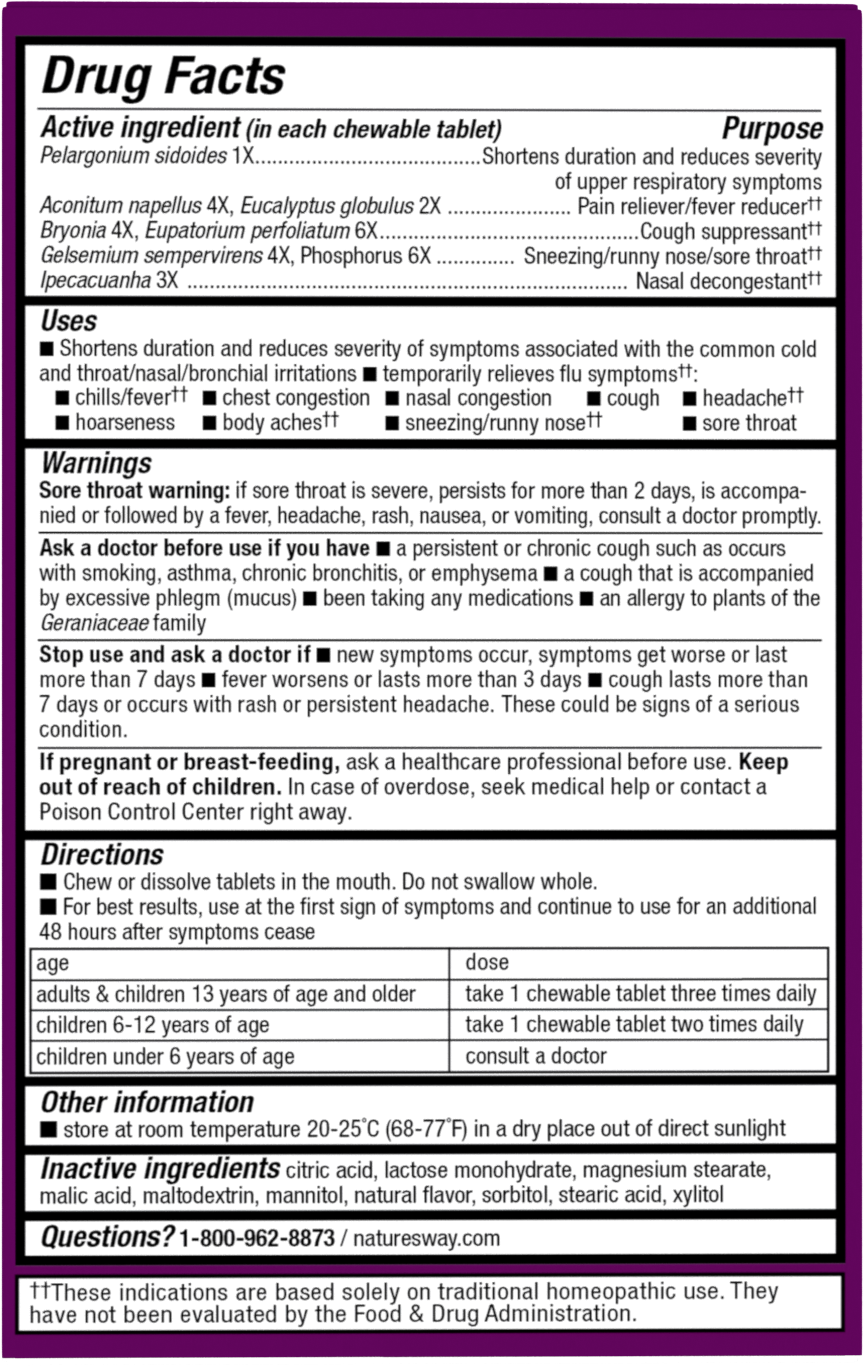 <{%MAIN2_15161%}>Nature's Way® | Umcka Cold+Flu Relief Chewables - back of pack