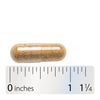 Nature's Way® | Chamomile Flowers - Capsule and ruler Sku:11600