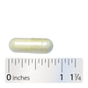 Nature's Way® | Alpha Lipoic Acid - Capsule and ruler Sku:45181