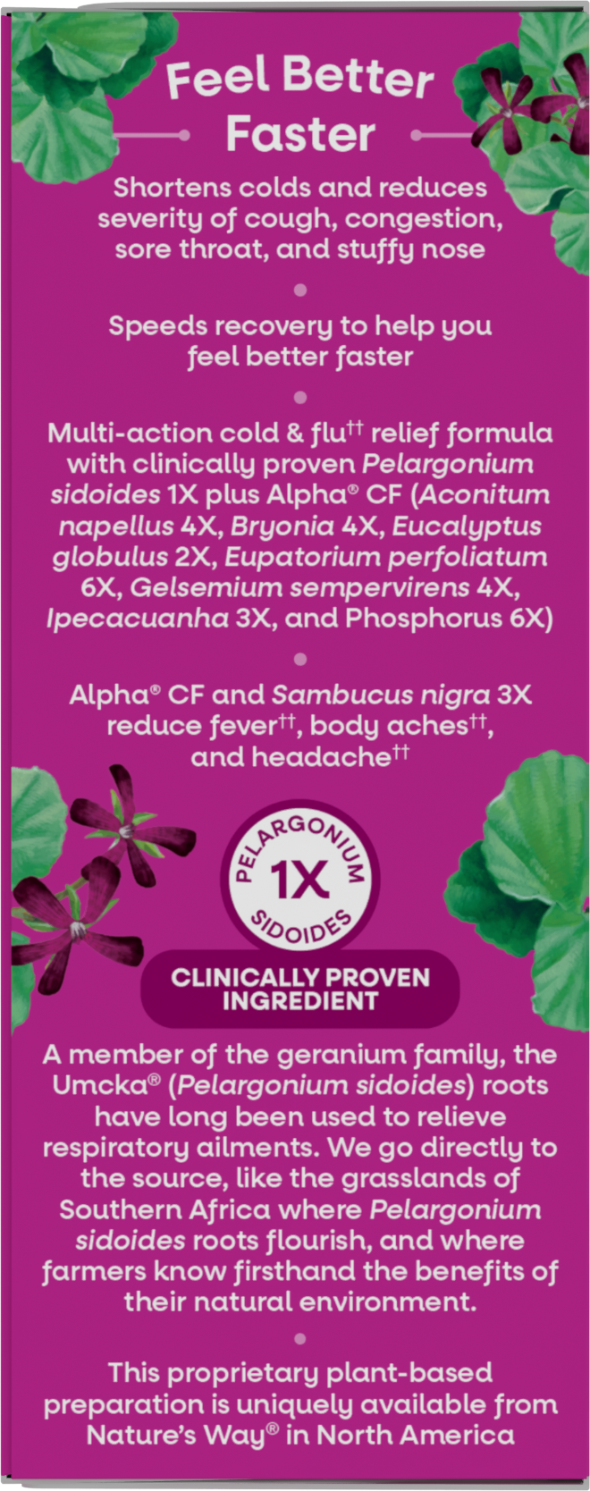 <{%MAIN4_15845%}>Nature's Way® | Umcka Cold & Flu Elderberry Syrup - left side of pack