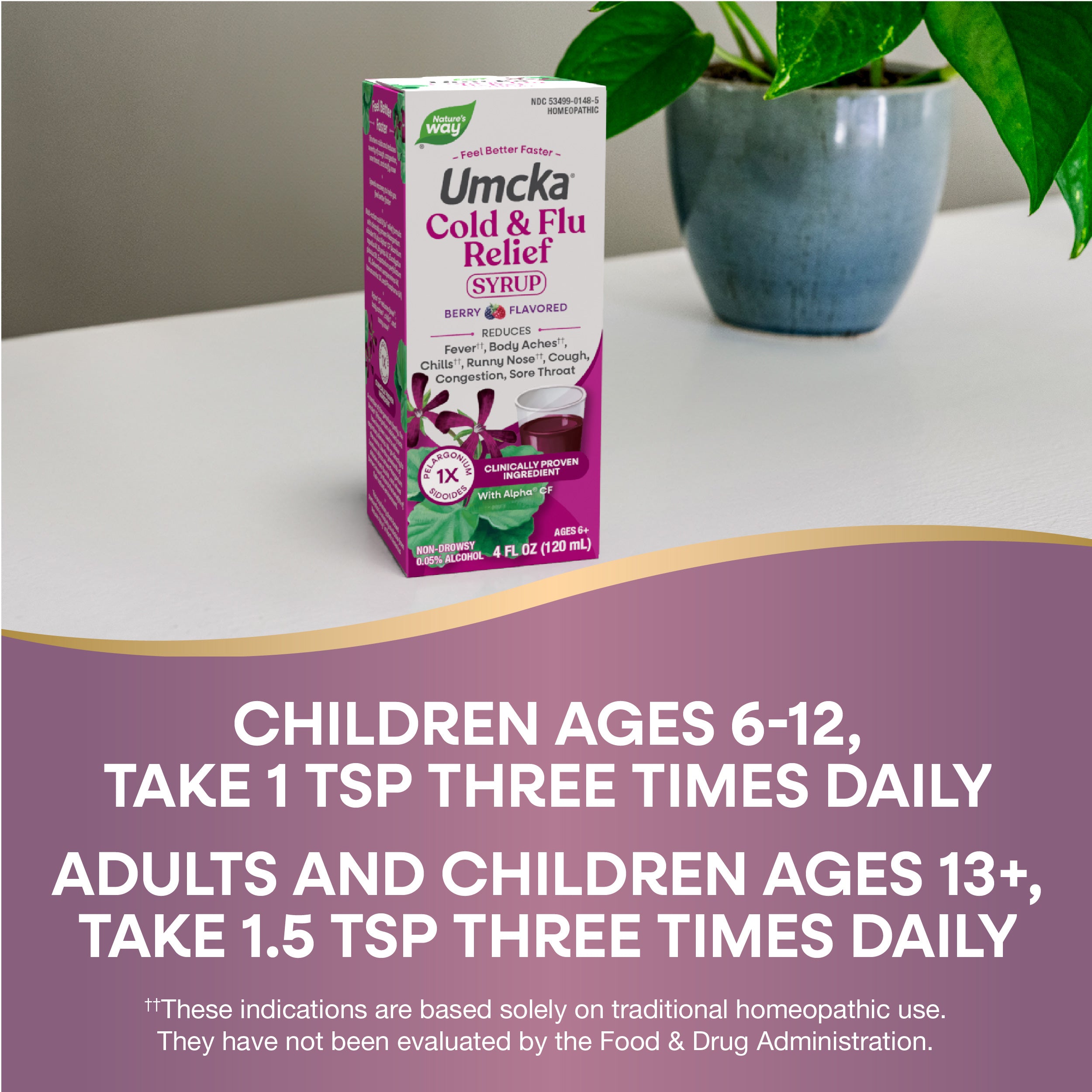 Umcka Cold & Flu Relief Syrup | Nature's Way®