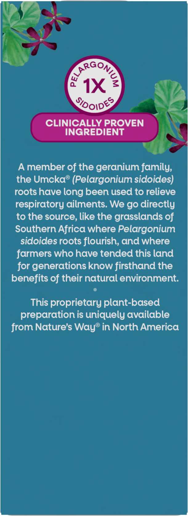 <{%MAIN27_15792%}>Nature's Way® | Umcka ColdCare Syrup - back of pack