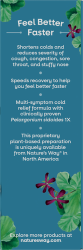 Nature's Way® | Umcka Cold Relief Hot Drink - right side of pack Sku:15146