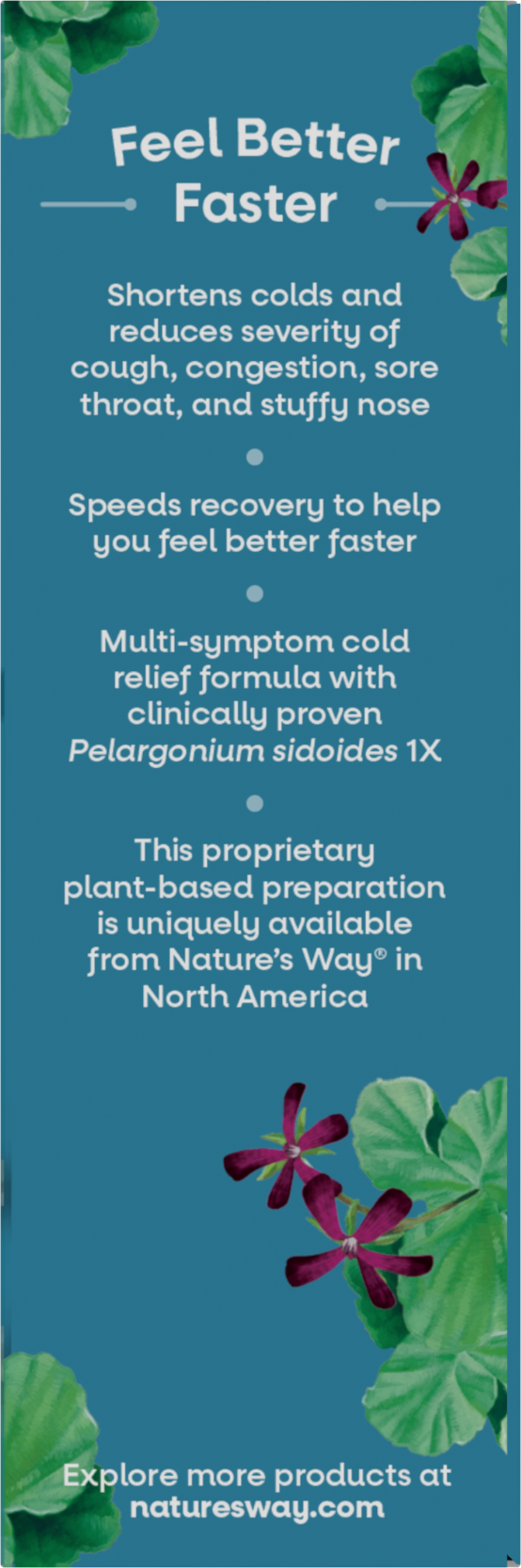 <{%MAIN4_15146%}>Nature's Way® | Umcka Cold Relief Hot Drink - right side of pack