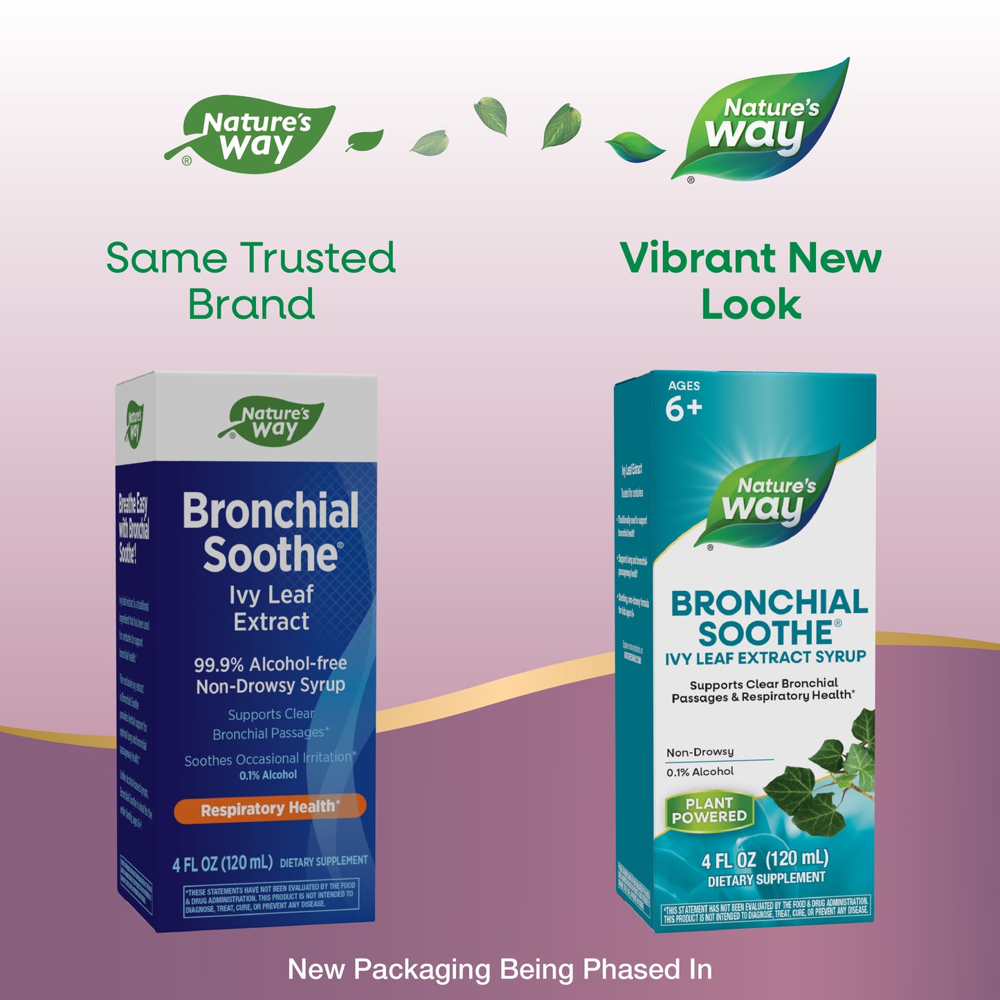 <{%MAIN1_08771%}>Nature's Way® | Bronchial Soothe Ivy Leaf Extract Syrup - package updates old to new