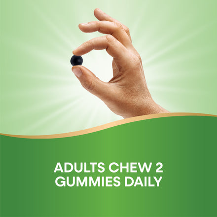 Chlorofresh Gummies Supplement Facts