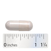 Nature's Way® | Cell Forté MAX3 - Capsule and ruler Sku:05812