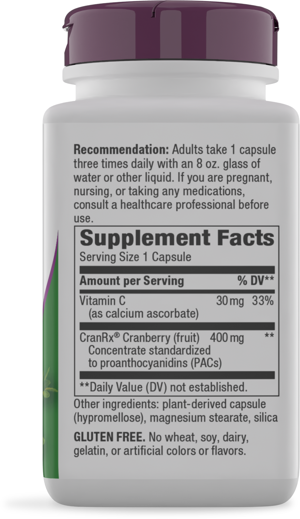 <{%MAIN10_15134%}>Nature's Way® | Cranberry Premium Blend - right side of pack