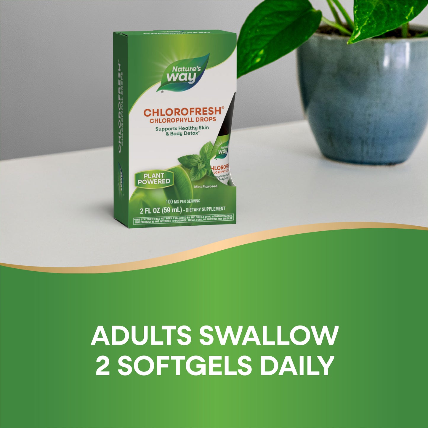 <{%DETAIL2_10008%}>Nature's Way® | Chlorofresh Chlorophyll Drops