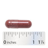 Nature's Way® | Cranberry Fruit - Capsule and ruler Sku:12150
