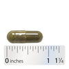 Nature's Way® | Gymnema - Capsule and ruler Sku:63700