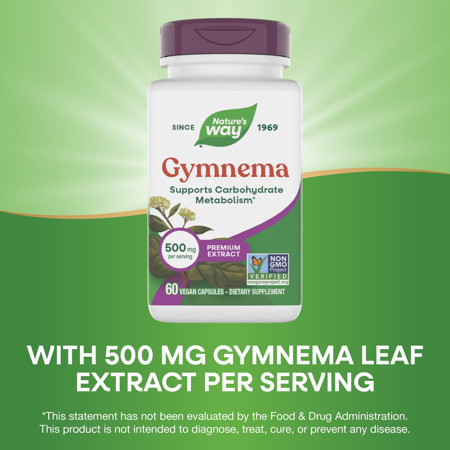 <{%MAIN6_63700%}>Nature's Way® | Gymnema