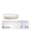 Nature's Way® | Pantothenic Acid Vitamin B5 - Capsule and ruler Sku:40491