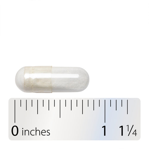 Nature's Way® | Pantothenic Acid Vitamin B5 - Capsule and ruler Sku:40491